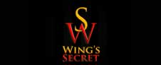 feria internacional de franquicias wings secret